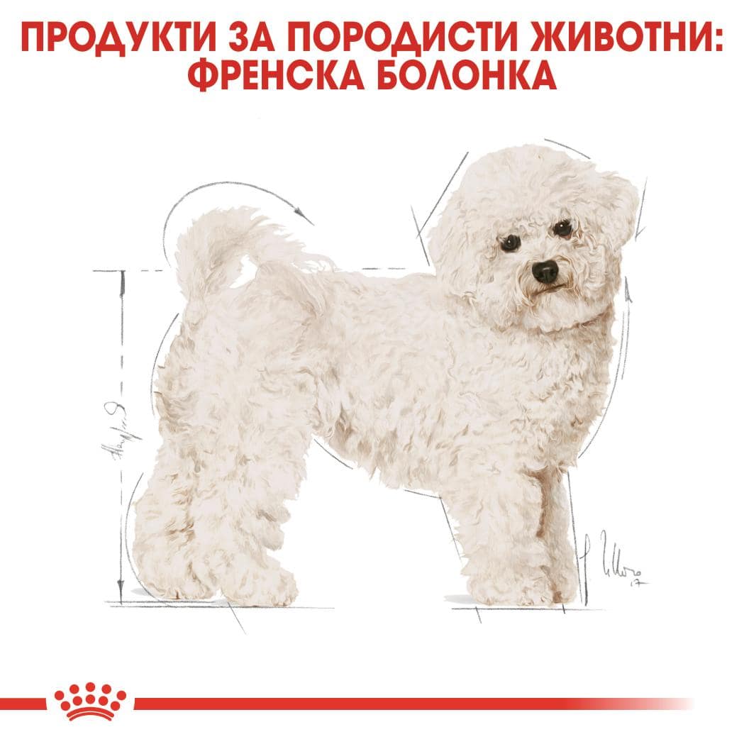 ROYAL CANIN® BHN BICHON FRISE ADULT 1.5кг - Image 5
