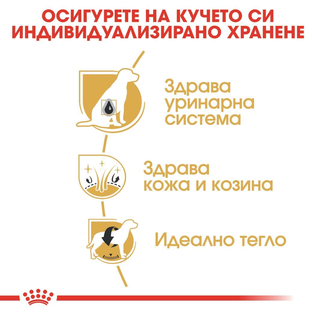 ROYAL CANIN® BHN BICHON FRISE ADULT 1.5кг - Image 4