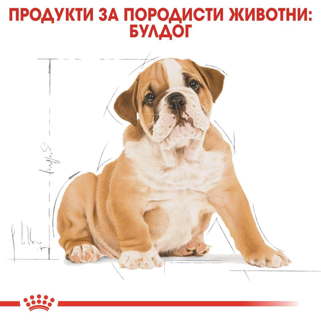 ROYAL CANIN® BHN BULLDOG PUPPY 3кг - Image 4