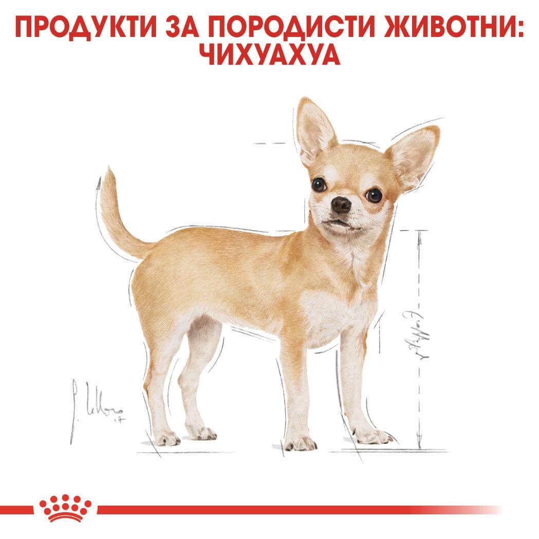 ROYAL CANIN® BHN CHIHUAHUA ADULT 500г - Image 4