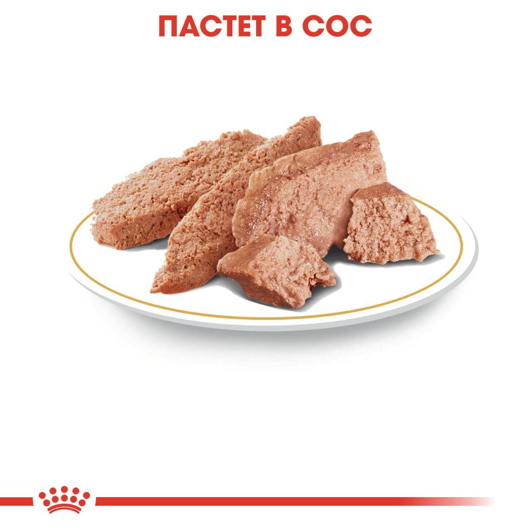 ROYAL CANIN® BHN CHIHUAHUA пастет 85г стек/12бр - Image 2