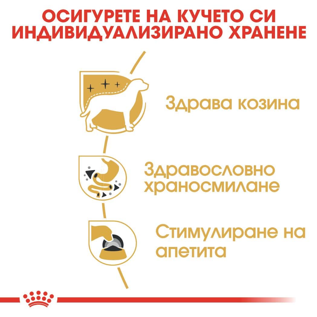 ROYAL CANIN® BHN CHIHUAHUA пастет 85г стек/12бр - Image 4