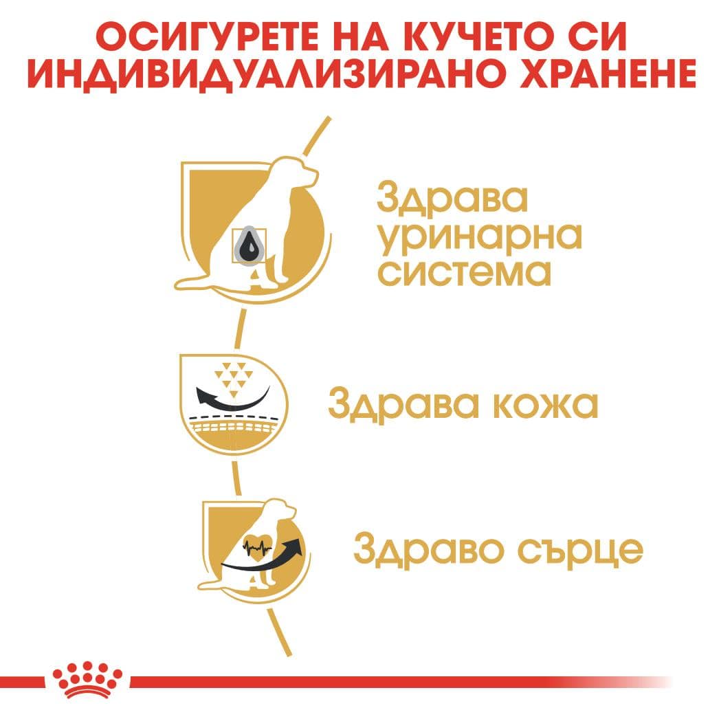 ROYAL CANIN® BHN DALMATIEN ADULT 12кг - Image 4