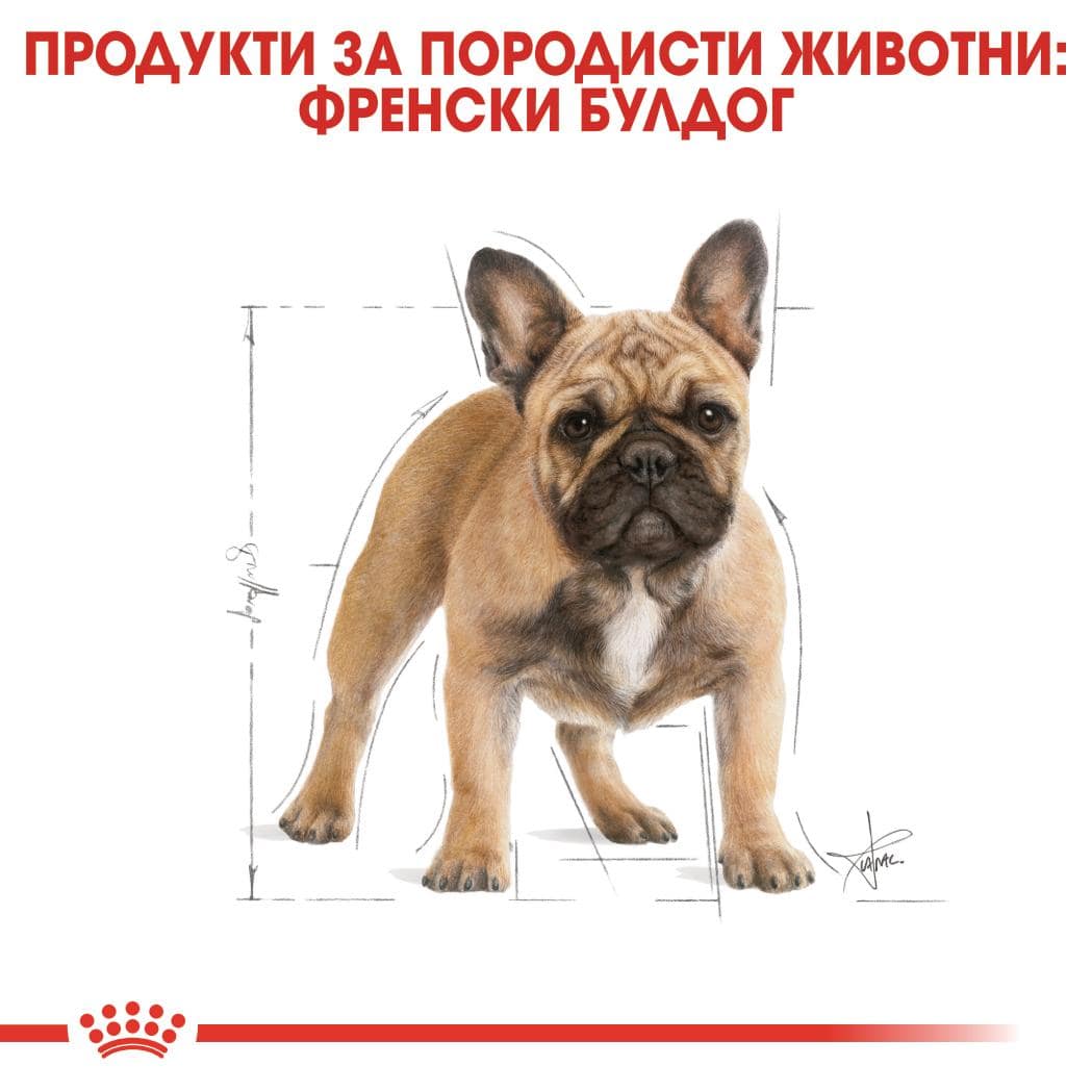 ROYAL CANIN® BHN FRENCH BULLDOG ADULT 3кг - Image 5