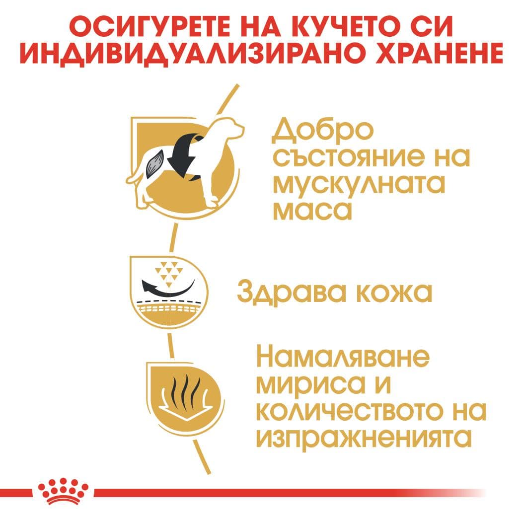 ROYAL CANIN® BHN FRENCH BULLDOG ADULT 3кг - Image 4