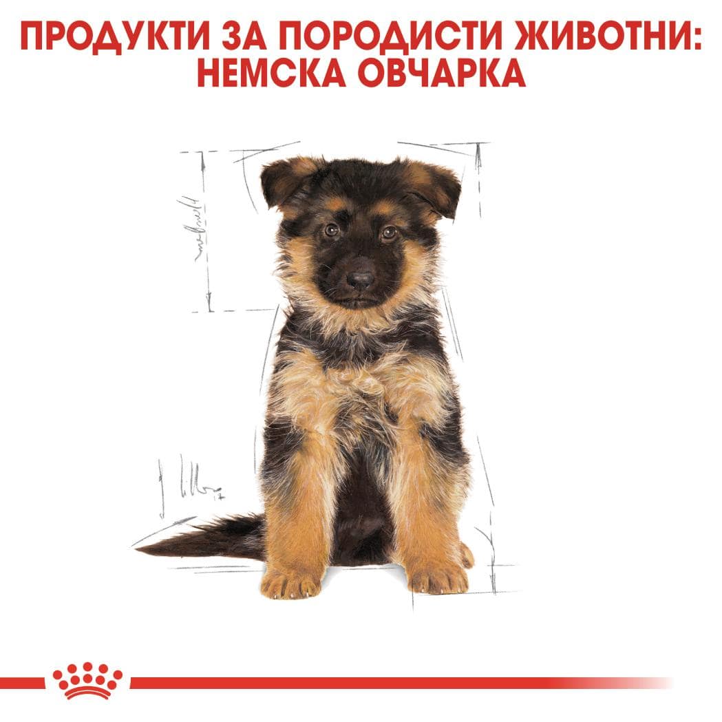 ROYAL CANIN® BHN GERMAN SHEPHERD PUPPY 12кг - Image 5