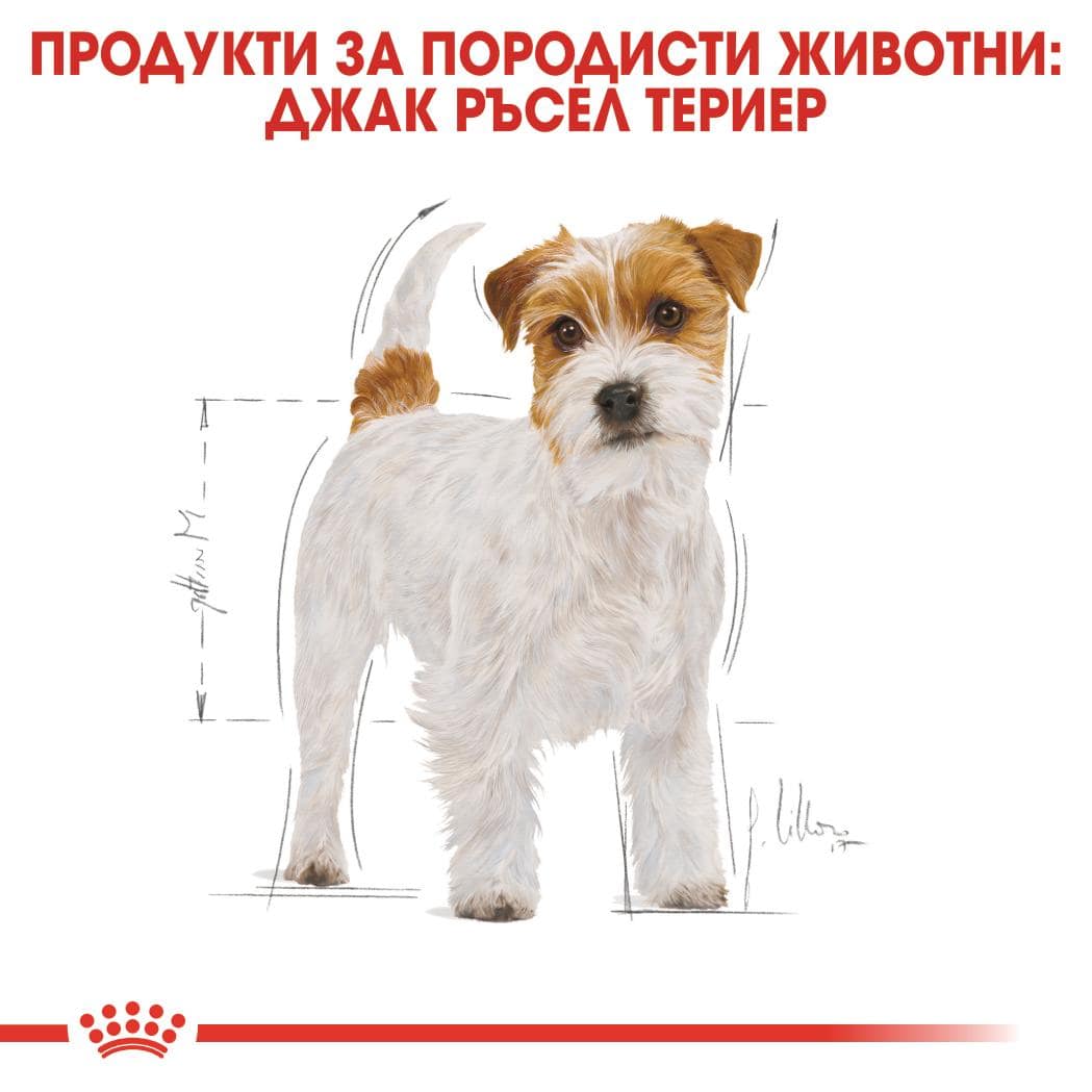 ROYAL CANIN® BHN JACK RUSSEL ADULT 1.5кг - Image 5