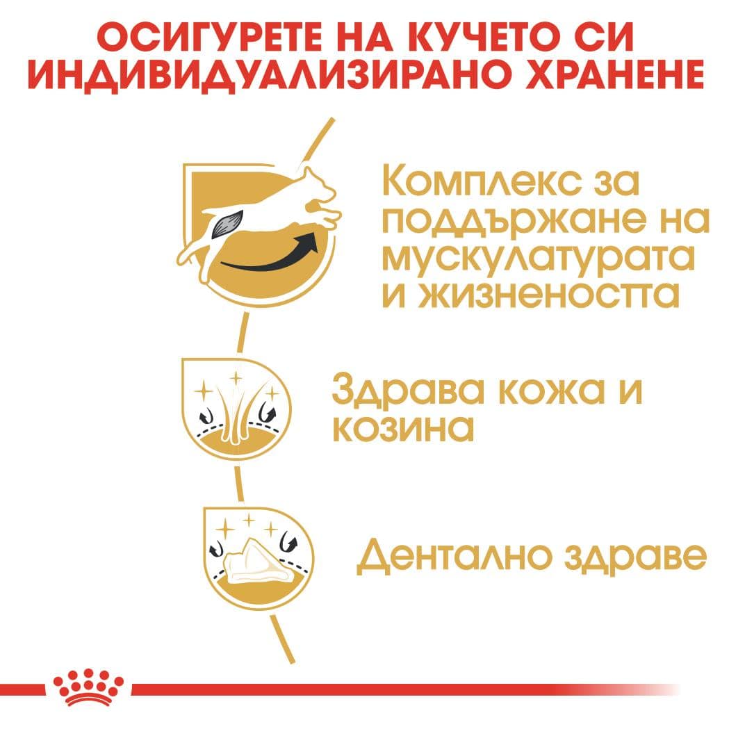 ROYAL CANIN® BHN JACK RUSSEL ADULT 1.5кг - Image 4