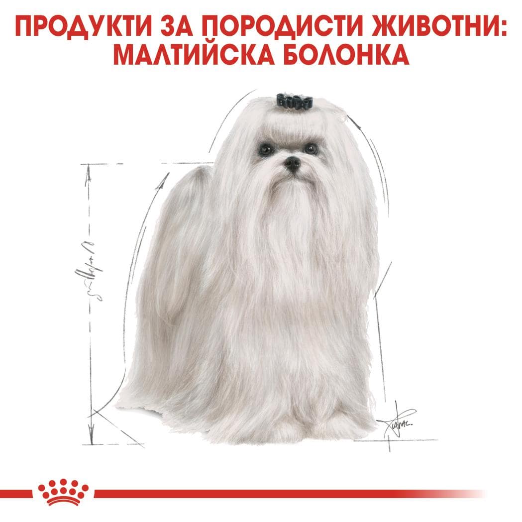 ROYAL CANIN® BHN MALTESE ADULT 1.5кг - Image 5