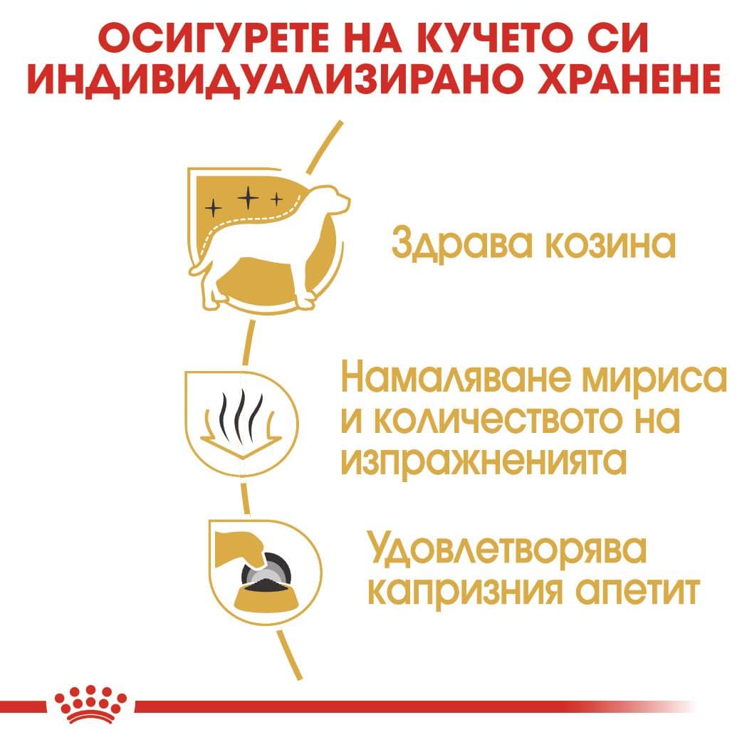 ROYAL CANIN® BHN MALTESE ADULT 1.5кг - Image 4