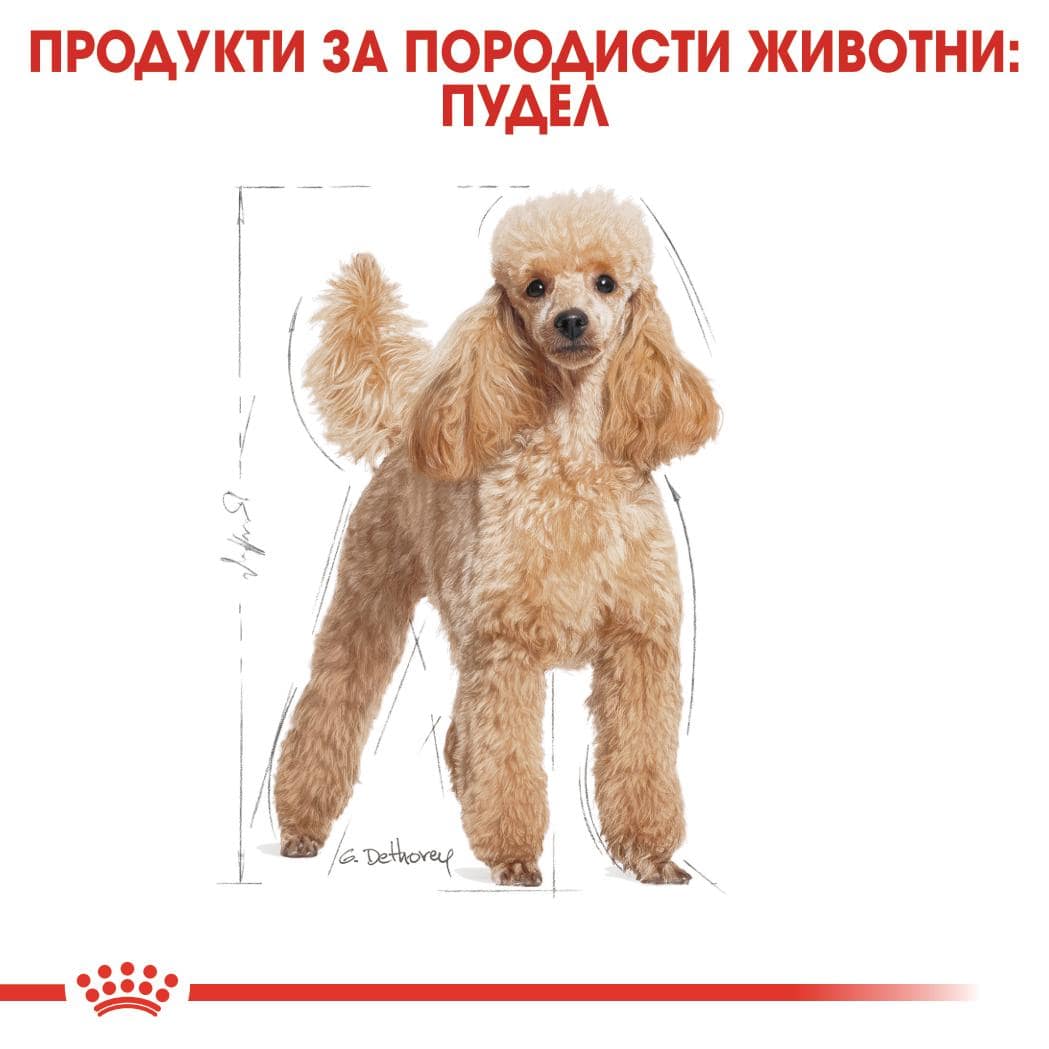 ROYAL CANIN® BHN POODLE 1.5кг - Image 5