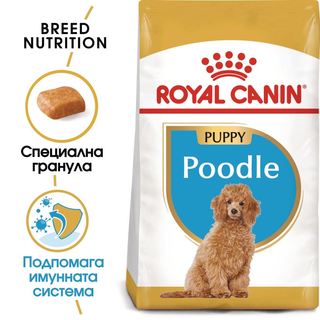 ROYAL CANIN® BHN POODLE PUPPY 500г