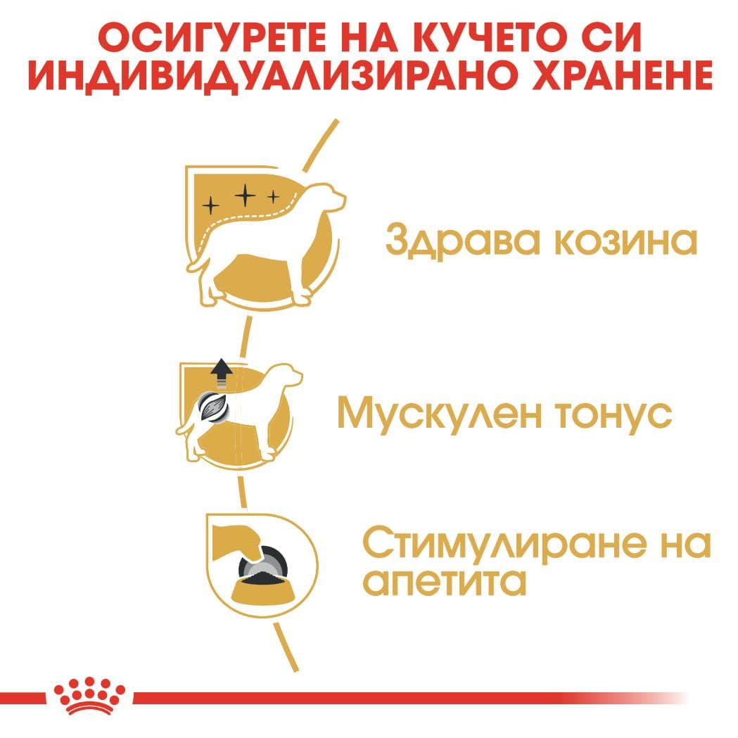 ROYAL CANIN® BHN POODLE пастет 85г - Image 3