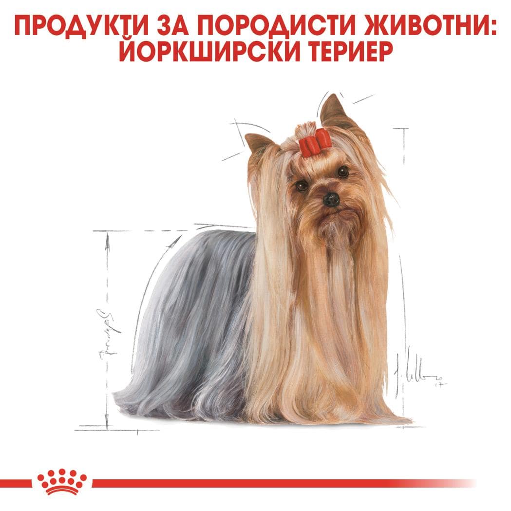 ROYAL CANIN® BHN YORKSHIRE TERRIER ADULT пастет 85г стек/12бр - Image 6