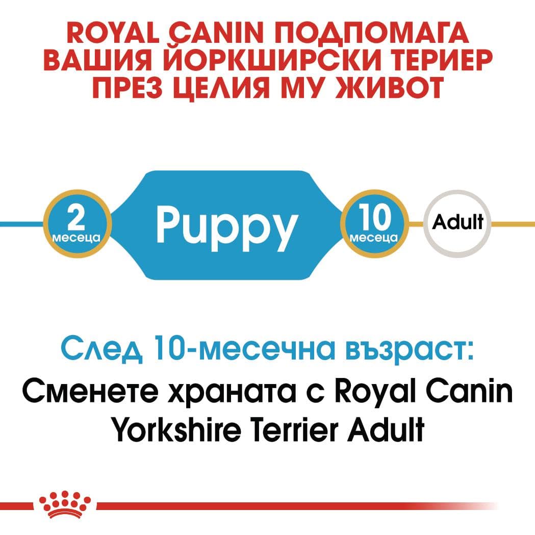 ROYAL CANIN® BHN YORKSHIRE PUPPY 1.5кг - Image 7