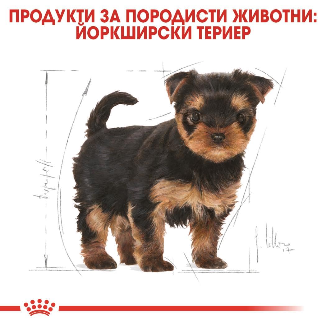 ROYAL CANIN® BHN YORKSHIRE PUPPY 1.5кг - Image 3