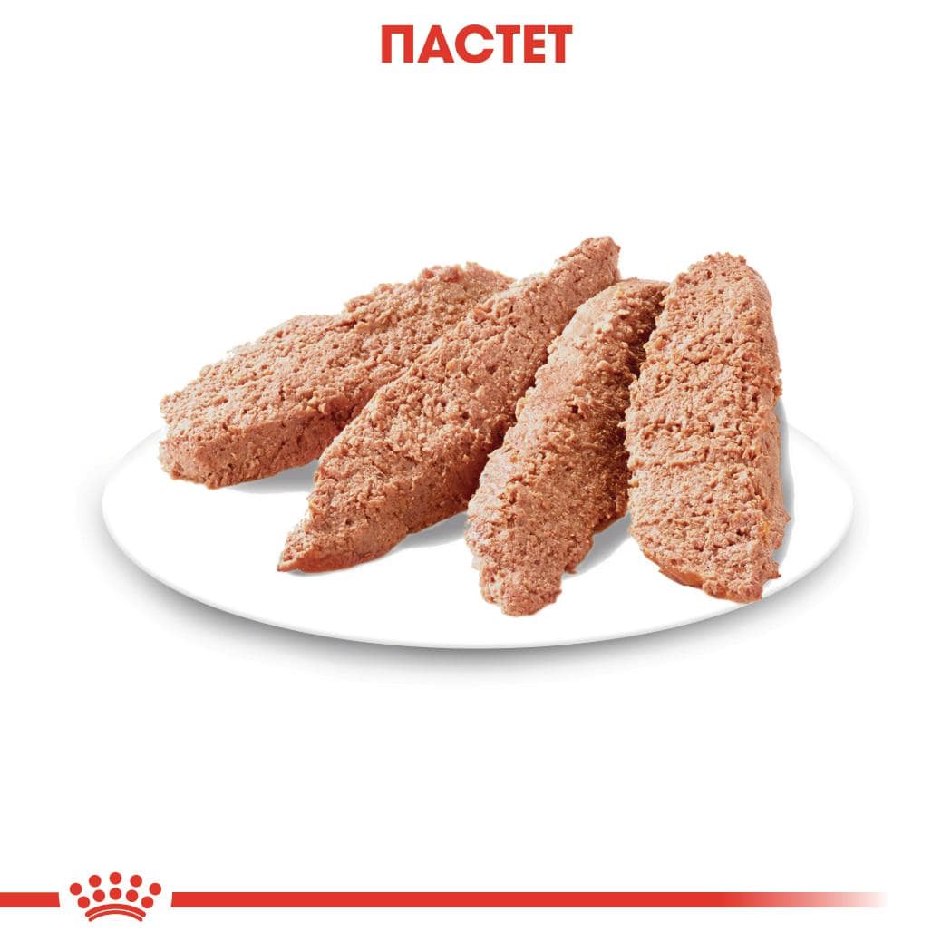 ROYAL CANIN® CCN DERMACOMFORT пастет 85г стек/12бр - Image 2