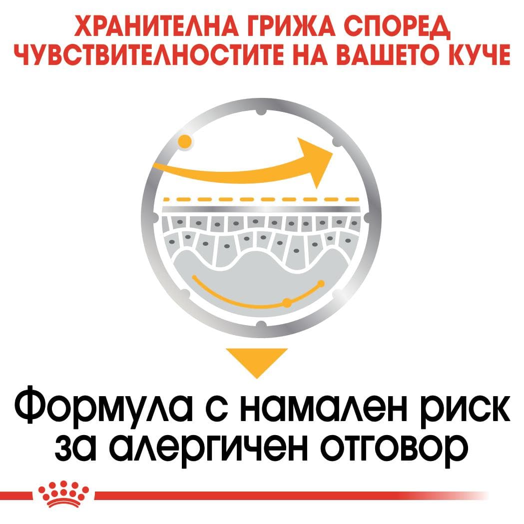 ROYAL CANIN® CCN DERMACOMFORT пастет 85г стек/12бр - Image 4