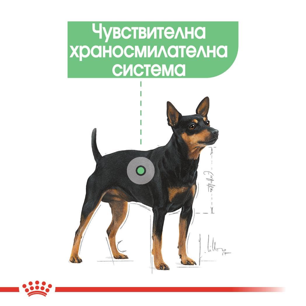 ROYAL CANIN® CCN DIGESTIVE CARE пастет 85г стек/12бр - Image 6