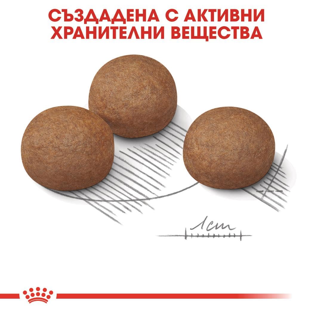 ROYAL CANIN® CCN MAXI DIGESTIVE CARE 12кг - Image 2