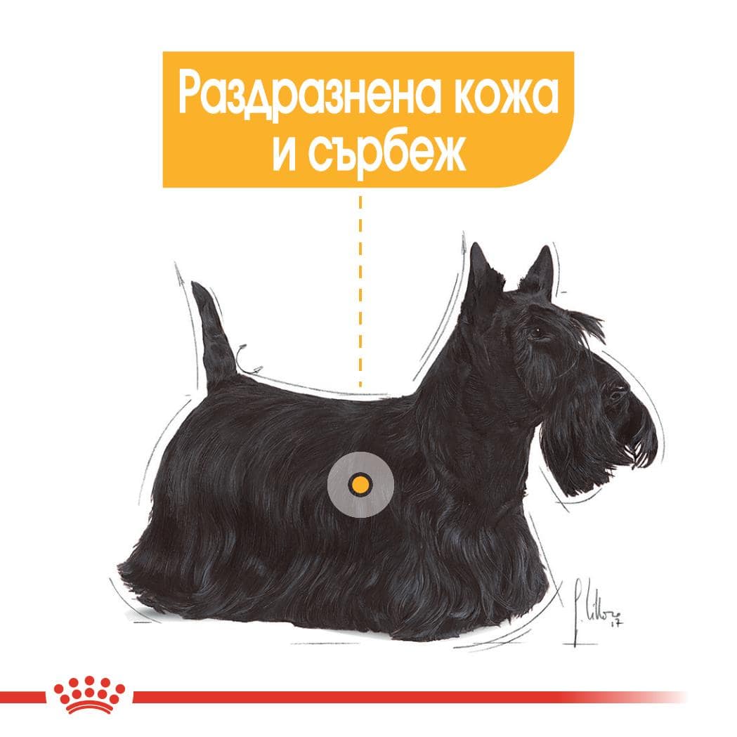 ROYAL CANIN® CCN MINI DERMACOMFORT 3кг - Image 6