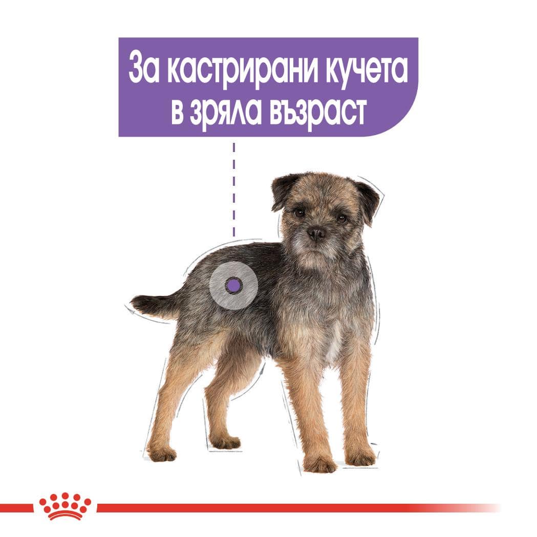 ROYAL CANIN® CCN MINI STERILISED 1кг - Image 5