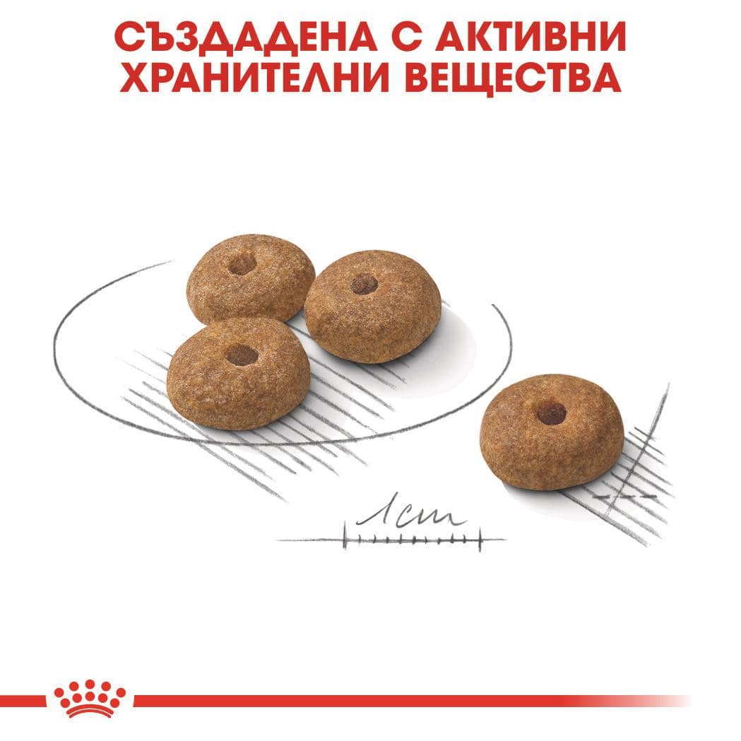 ROYAL CANIN® CCN MINI STERILISED 1кг - Image 2