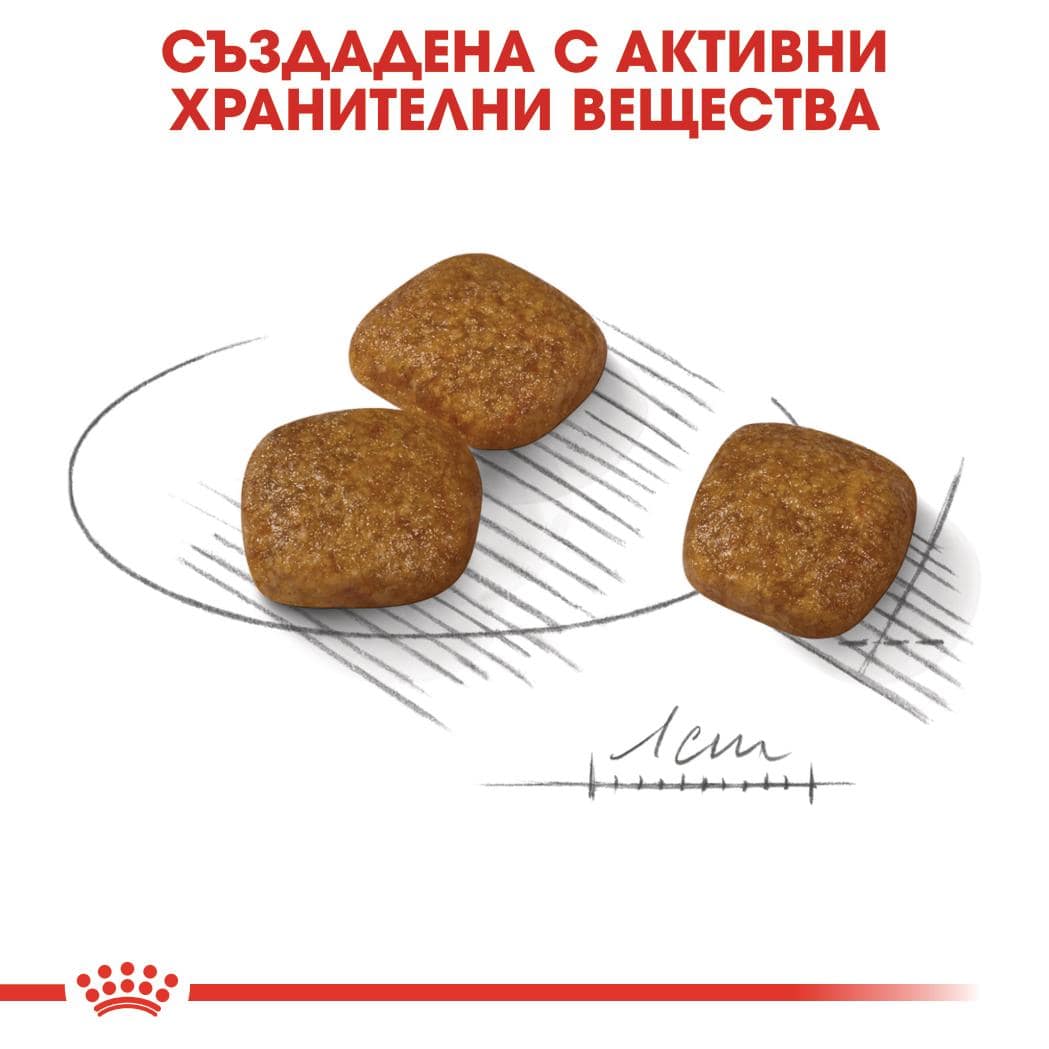 ROYAL CANIN® CCN MINI URINARY CARE 1кг - Image 2