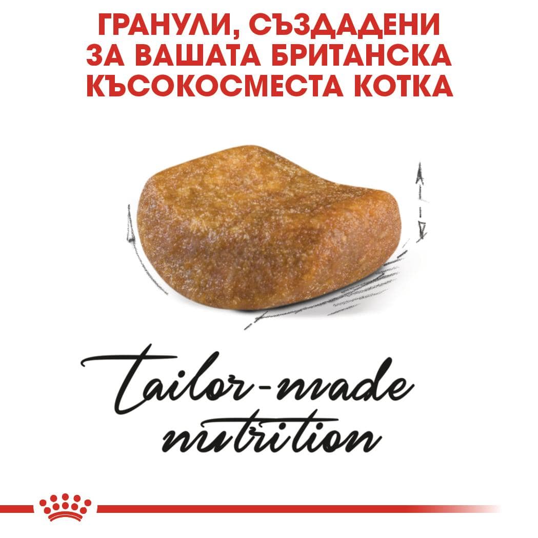 ROYAL CANIN® FBN BRITISH SHORTHAIR ADULT 10кг - Image 2