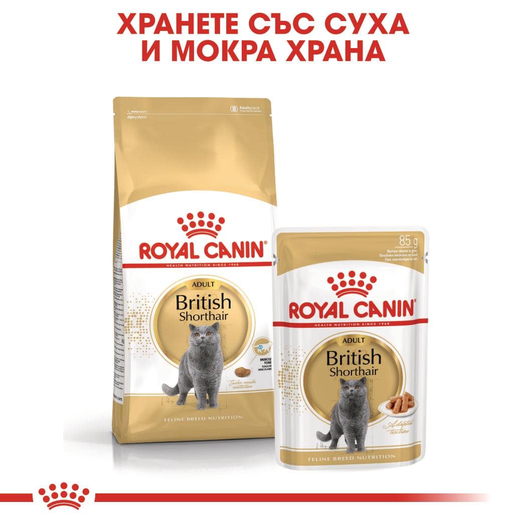 ROYAL CANIN® FBN BRITISH SHORTHAIR ADULT 10кг - Image 4