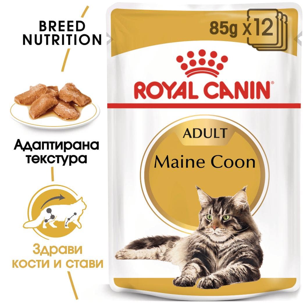 ROYAL CANIN® FBN MAINE COON POUCH хапки в сос 85г стек/12бр