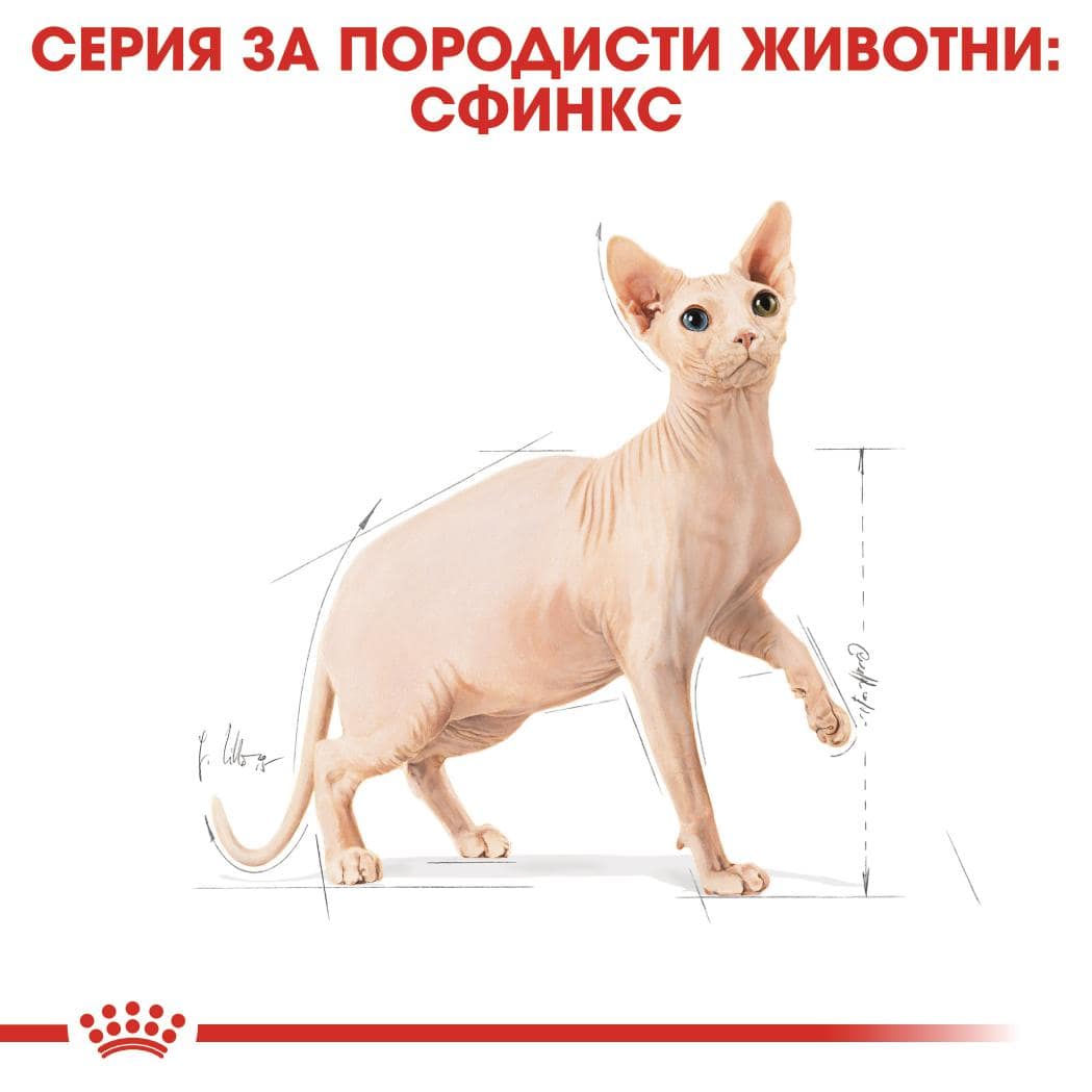 ROYAL CANIN® FBN SPHYNX ADULT 10кг - Image 5