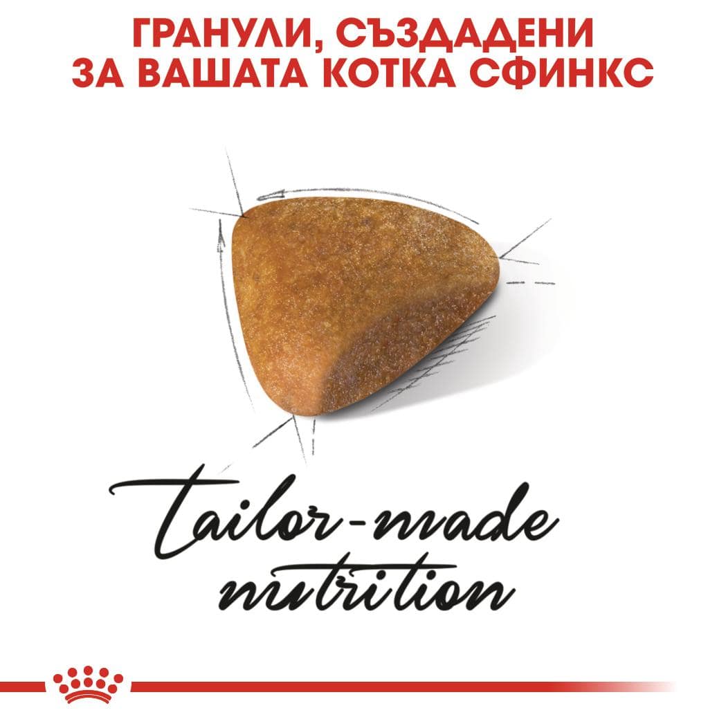 ROYAL CANIN® FBN SPHYNX ADULT 10кг - Image 2