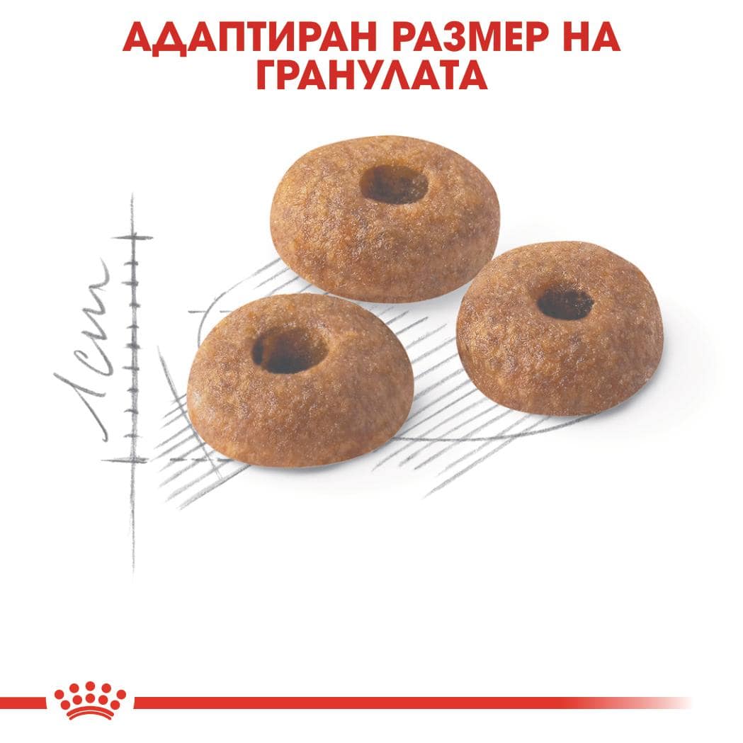 ROYAL CANIN® FHN FIT 10кг - Image 2