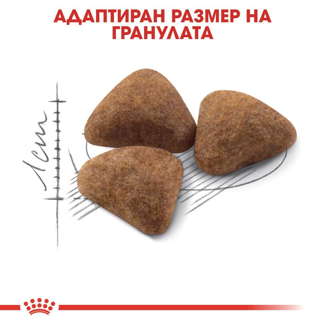 ROYAL CANIN® FHN INDOOR 2кг - Image 2