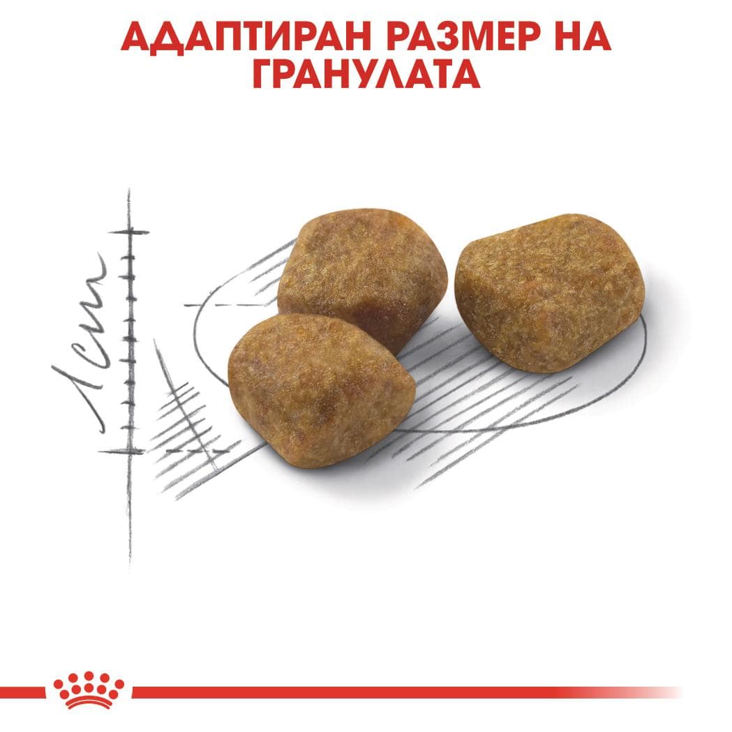 ROYAL CANIN® FHN INDOOR 7+ 3.5кг - Image 2