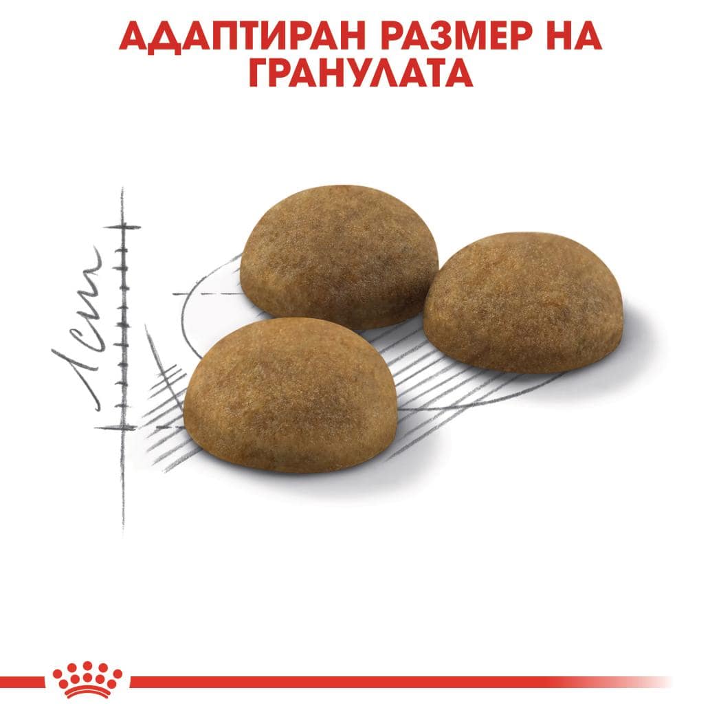 ROYAL CANIN® FHN INDOOR LONG HAIR 2кг - Image 2