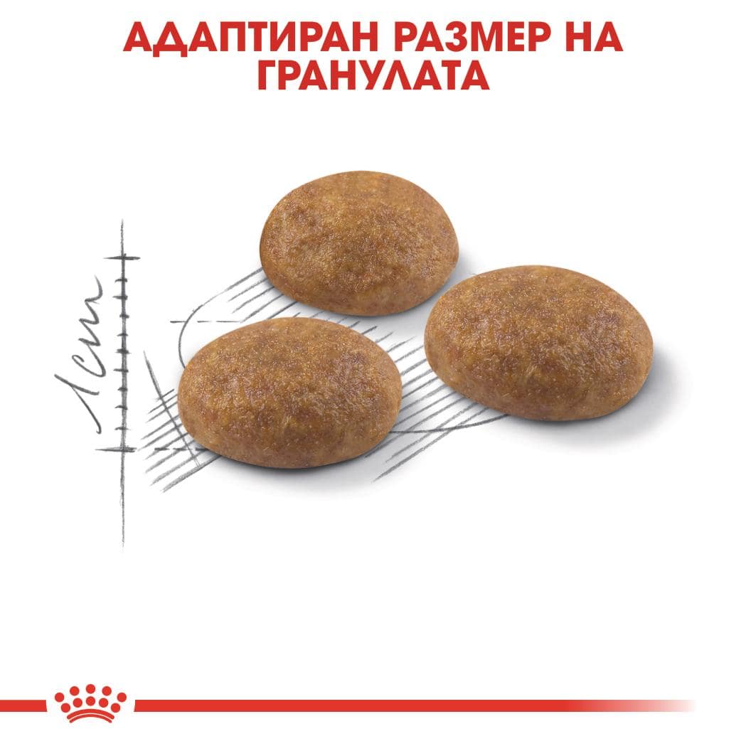 ROYAL CANIN® FHN OUTDOOR 2кг - Image 2