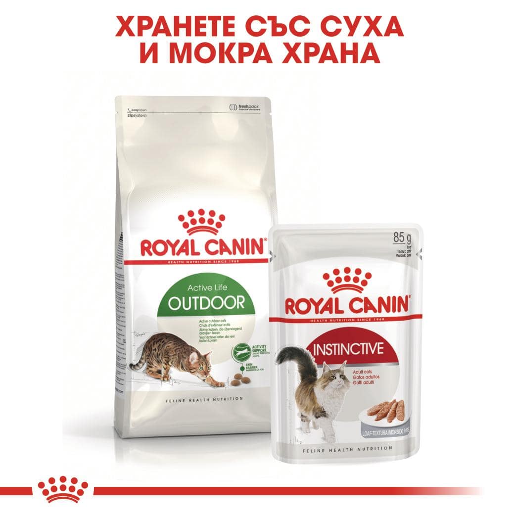 ROYAL CANIN® FHN OUTDOOR 2кг - Image 4