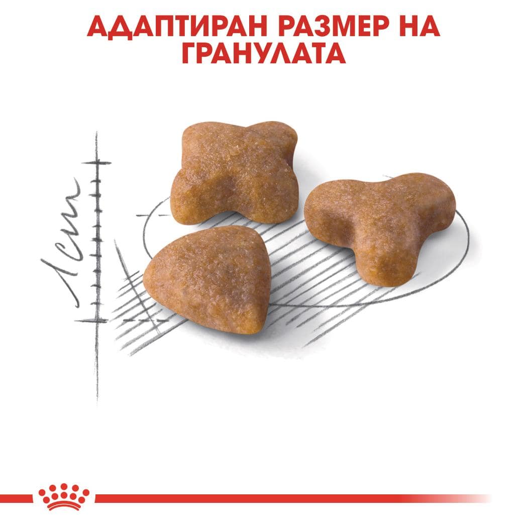 ROYAL CANIN® FHN SENSIBLE 10кг - Image 2