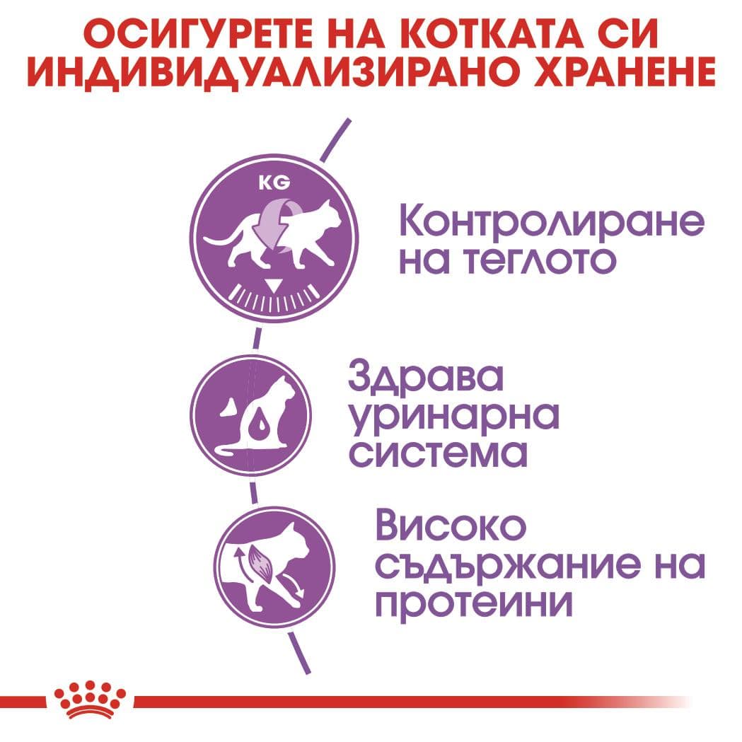ROYAL CANIN® FHN STERILISED 400гр - Image 5