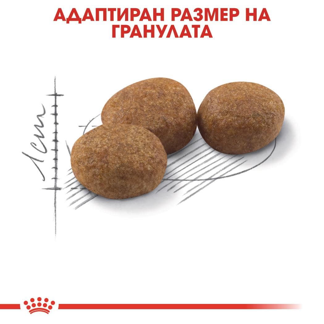 ROYAL CANIN® FHN STERILISED 400гр - Image 2