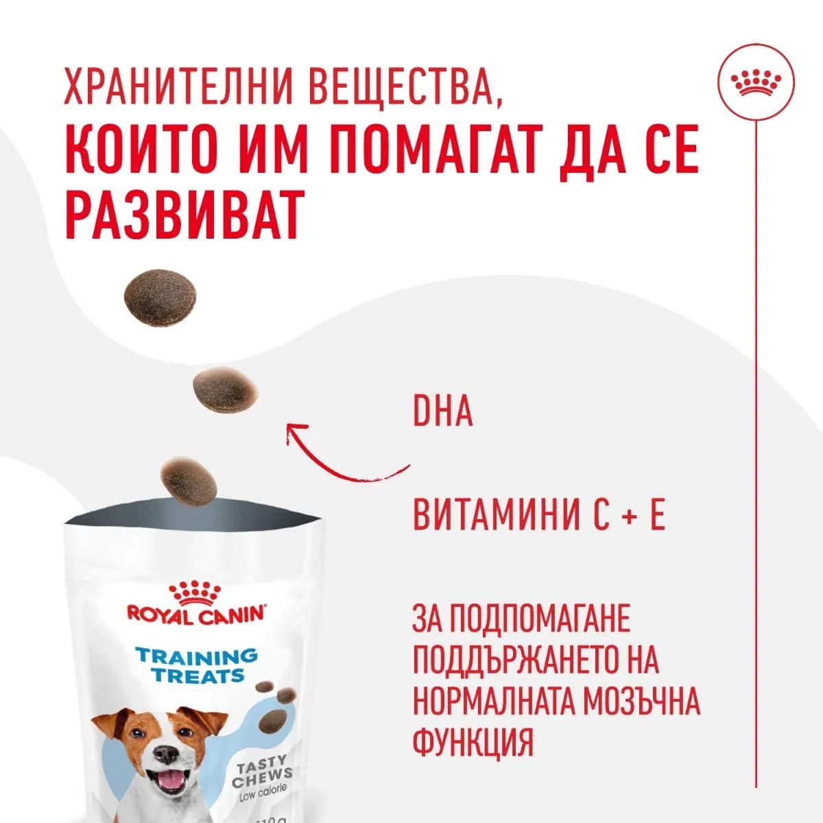 ROYAL CANIN® TRAINING TREATS 110G - Image 7