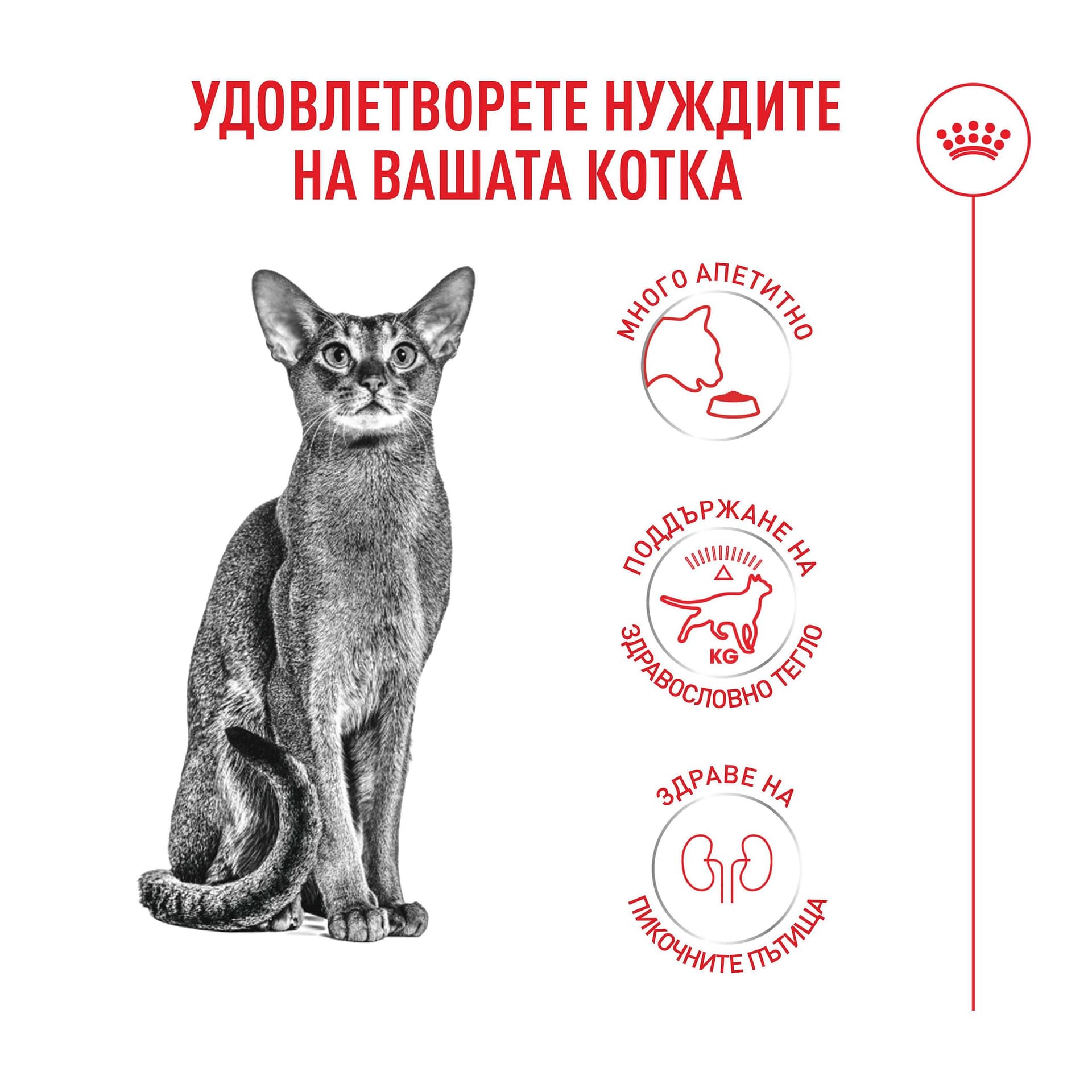 ROYAL CANIN® FHN FUSSY CAT 0.400кг - Image 6