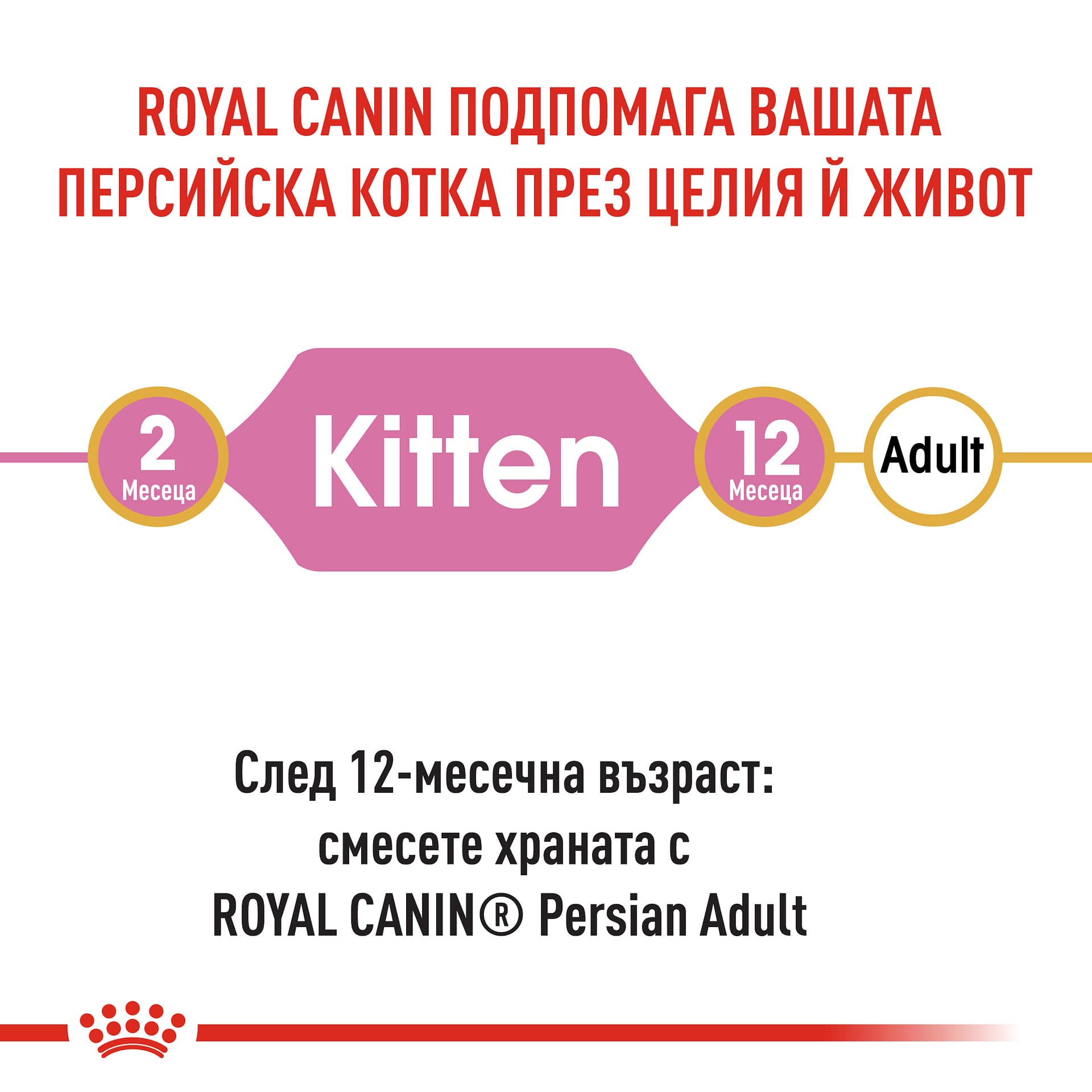 ROYAL CANIN® FBN PERSIAN KITTEN 10кг - Image 5