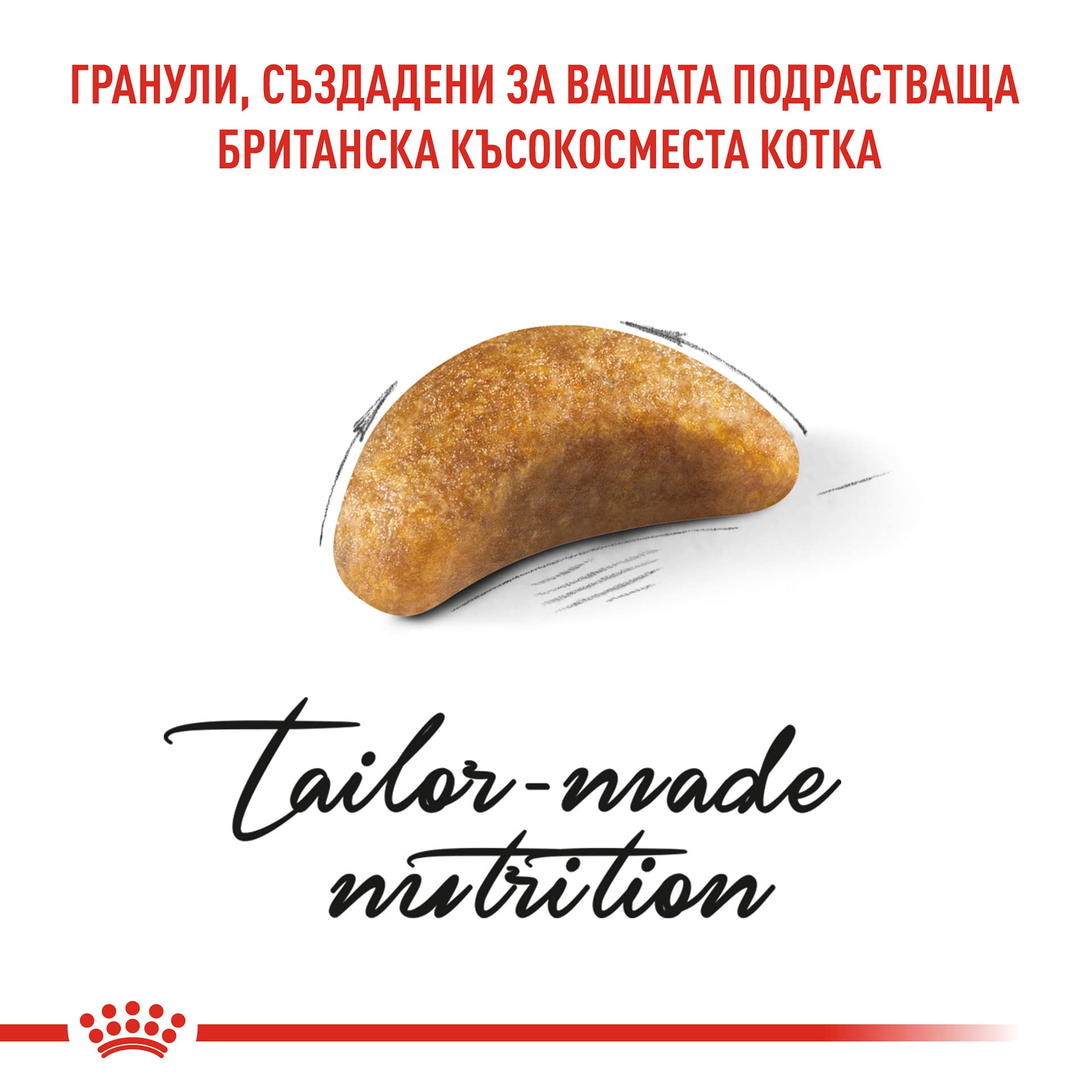 ROYAL CANIN® FBN BRITISH SHORTHAIR KITTEN 10кг - Image 3