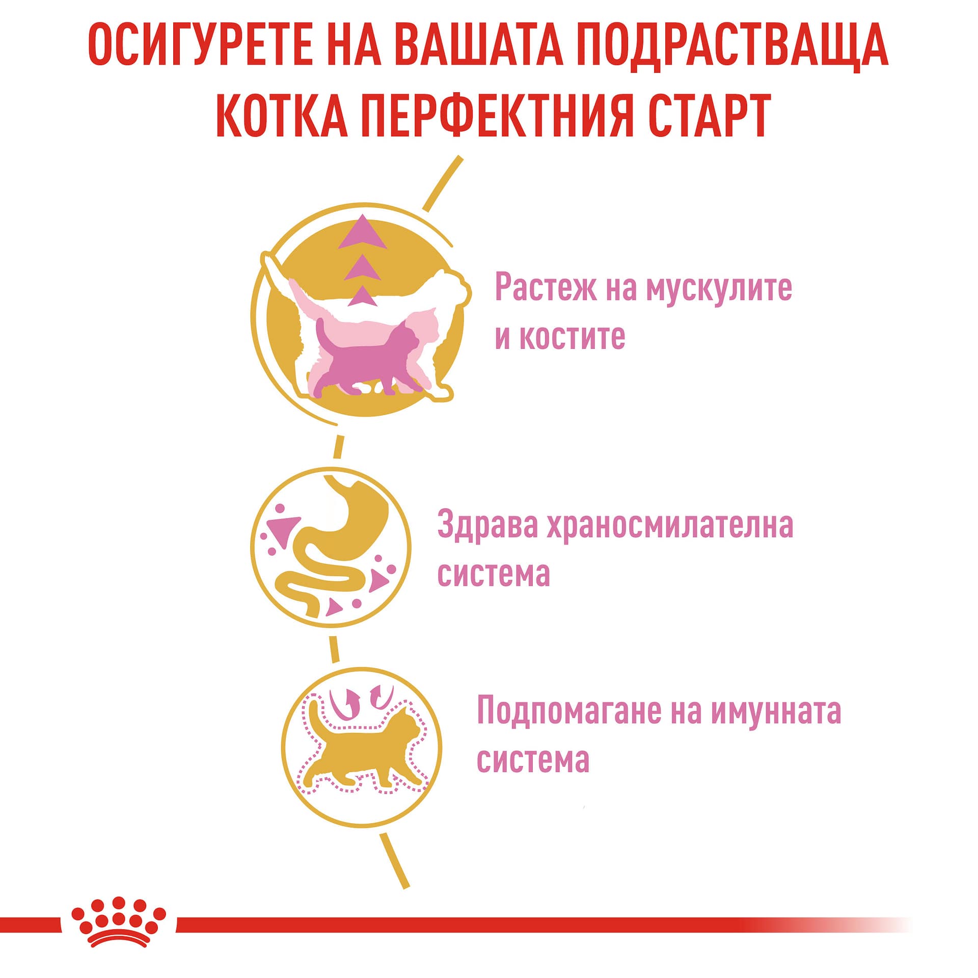 ROYAL CANIN® FBN BRITISH SHORTHAIR KITTEN 10кг - Image 4