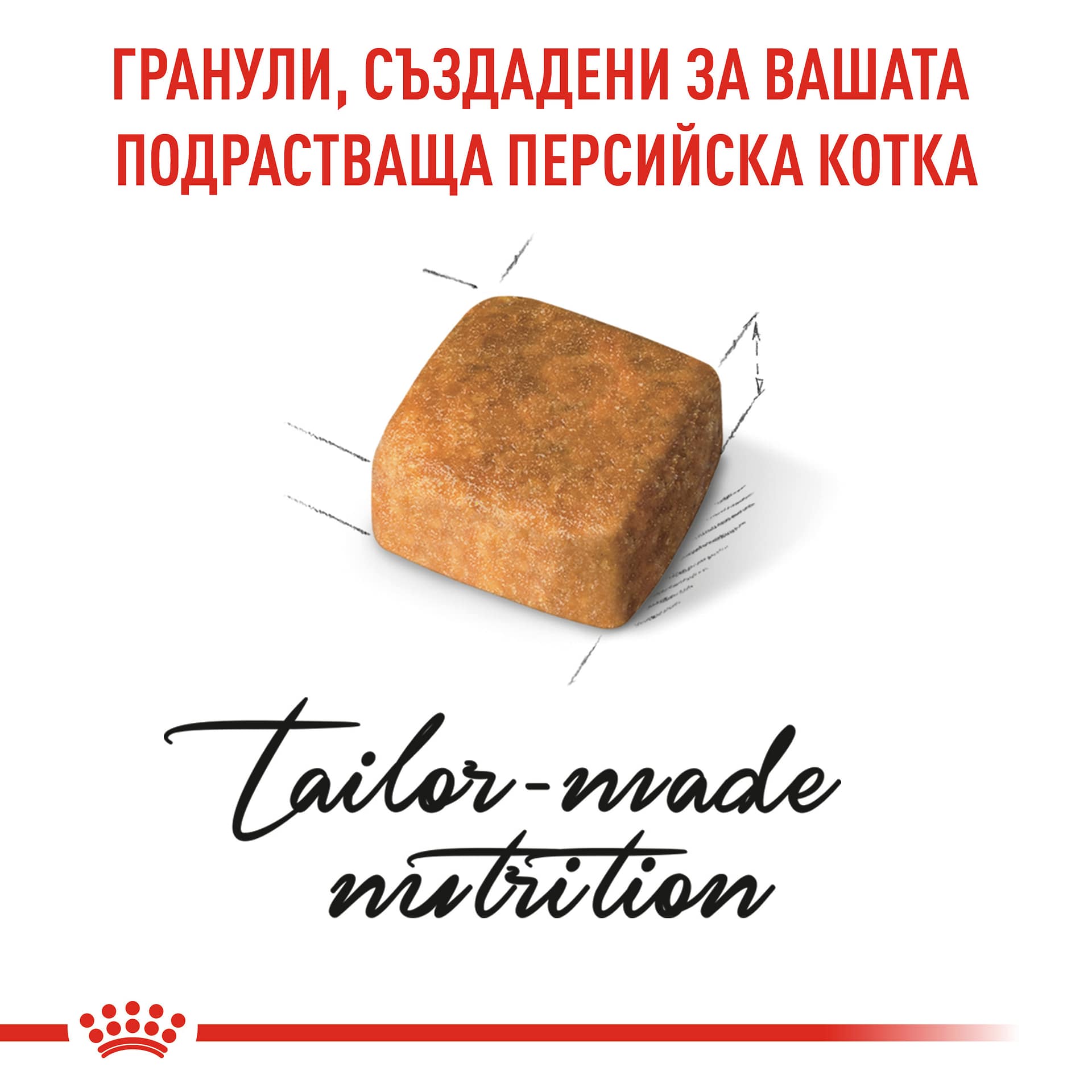 ROYAL CANIN® FBN PERSIAN KITTEN 10кг - Image 3