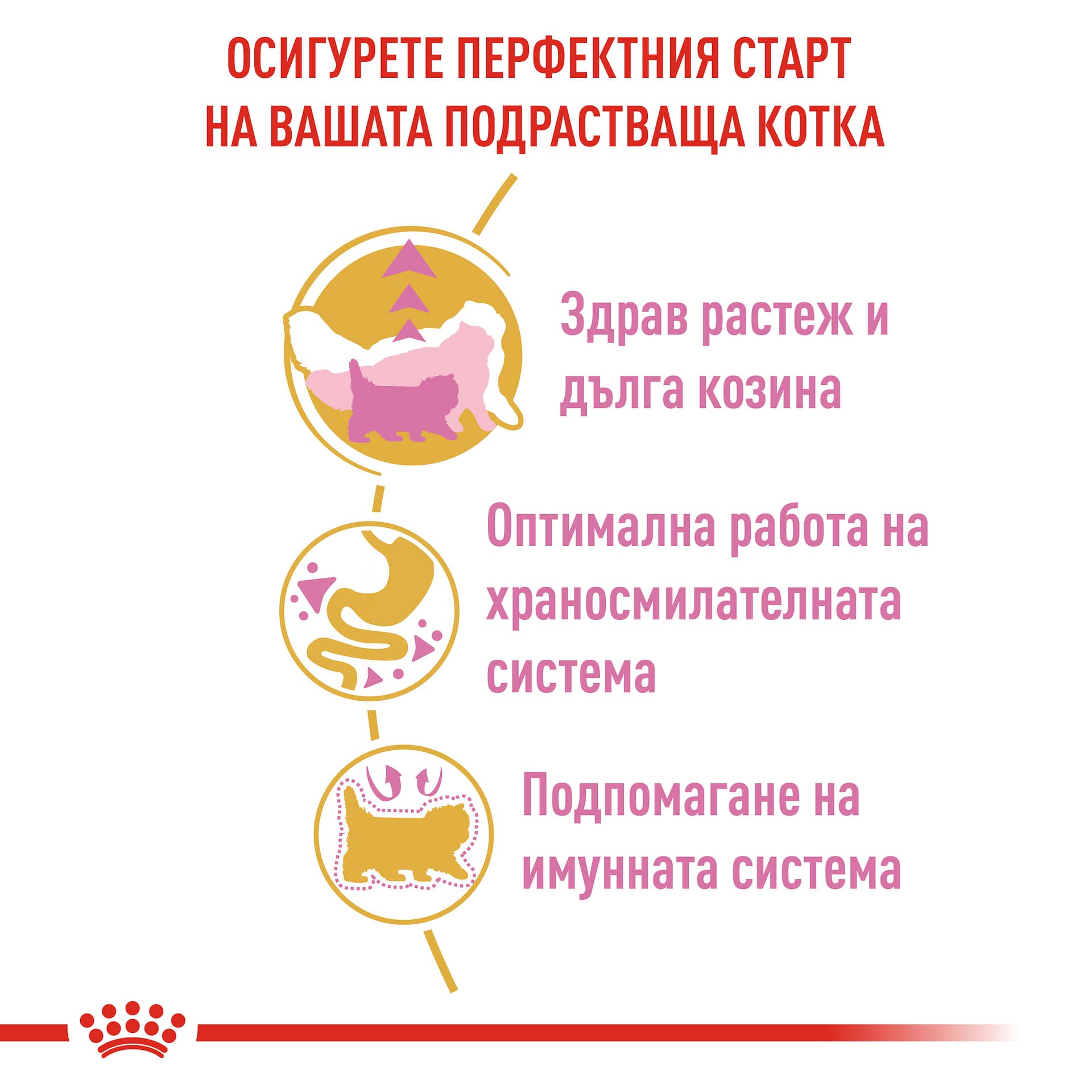 ROYAL CANIN® FBN PERSIAN KITTEN 10кг - Image 4