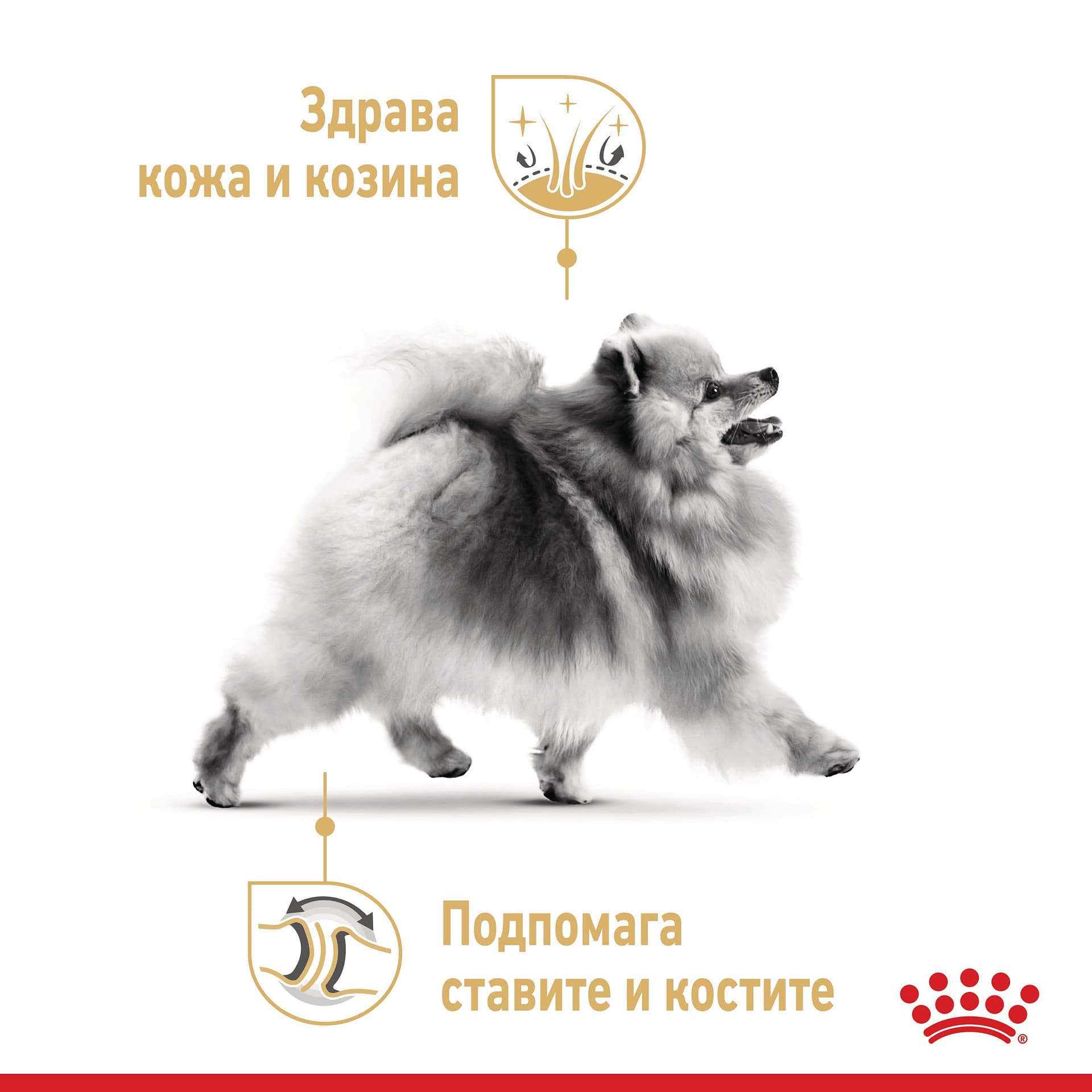 ROYAL CANIN® BHN POMERANIAN ADULT 500г - Image 5